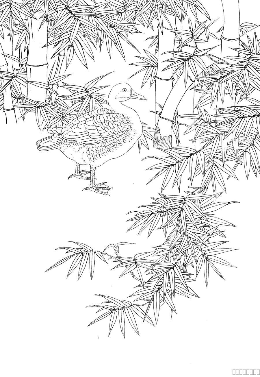 兰竹白描 花悦颜排笔彩绘线稿17.jpg